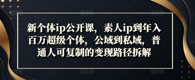 新个体ip公开课，素人ip到年入百万超级个体，公域到私域，普通人可复制的变现路径拆解-创新Ovo