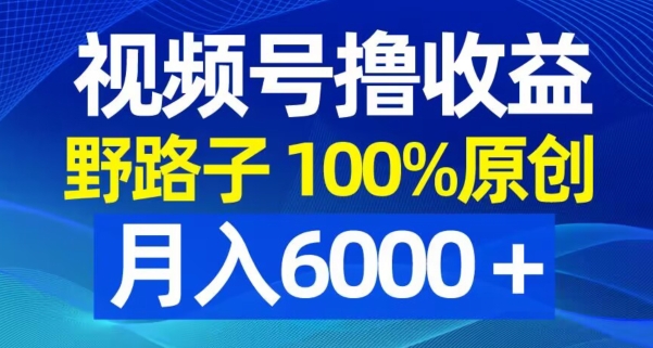 视频号野路子撸收益，100%原创，条条爆款，月入6000＋【揭秘】-创新Ovo
