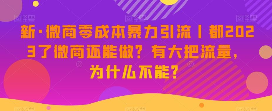 新·微商零成本暴力引流丨都2023了微商还能做？有大把流量，为什么不能？-创新Ovo