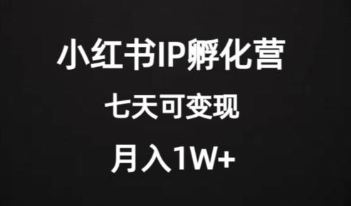 价值2000+的小红书IP孵化营项目，超级大蓝海，七天即可开始变现，稳定月入1W+-创新Ovo