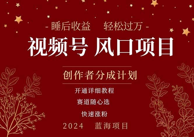 拥有睡眠收益的微信视频号大风口项目，轻松月入过万+，多赛道选择，可…-创新Ovo