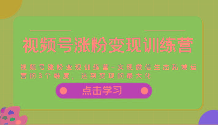 视频号涨粉变现训练营-实现微信生态私域运营的3个维度，达到变现的最大化-创新Ovo