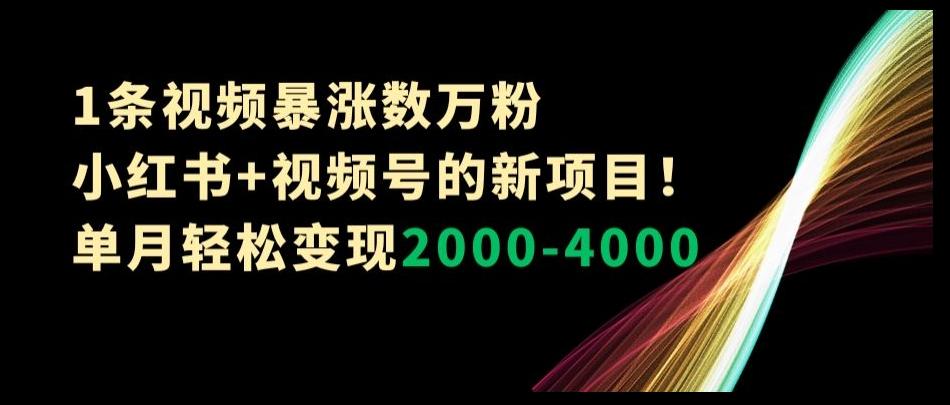 1条视频暴涨数万粉–小红书+视频号的新项目！单月轻松变现2000-4000【揭秘】-创新Ovo