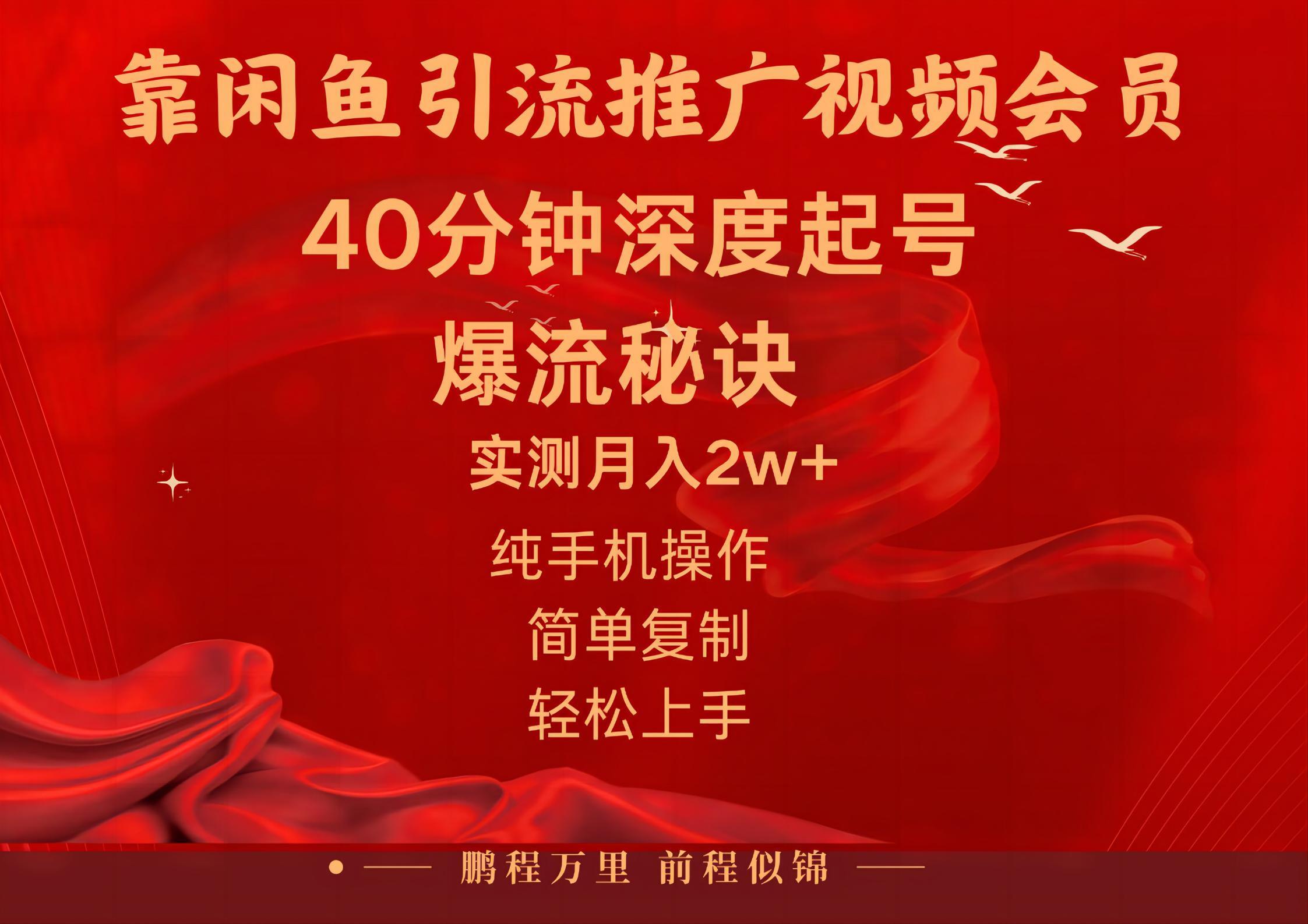 闲鱼暴力引流推广视频会员，能做到日入2W+，操作简单-创新Ovo