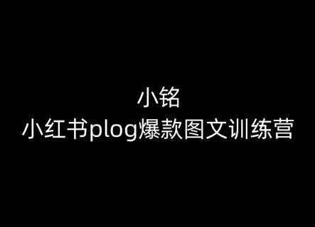 小铭-小红书plog爆款图文训练营，教你从0-1做小红书-创新Ovo