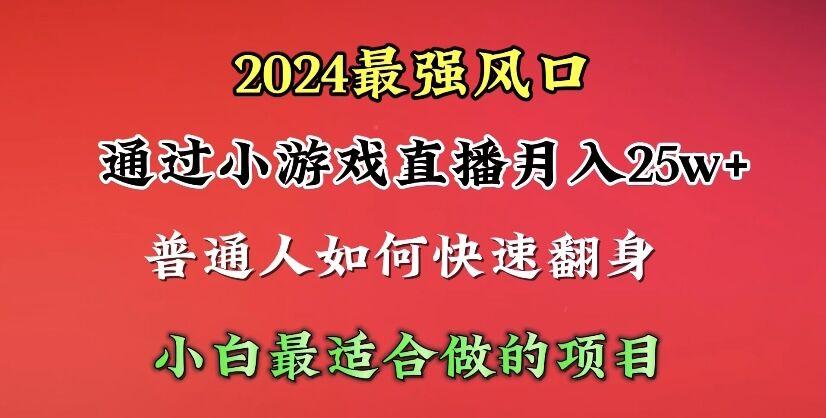 (10020期)2024年最强风口，通过小游戏直播月入25w+单日收益5000+小白最适合做的项目-创新Ovo