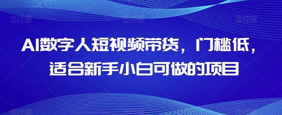 AI数字人短视频带货，门槛低，适合新手小白可做的项目-创新Ovo
