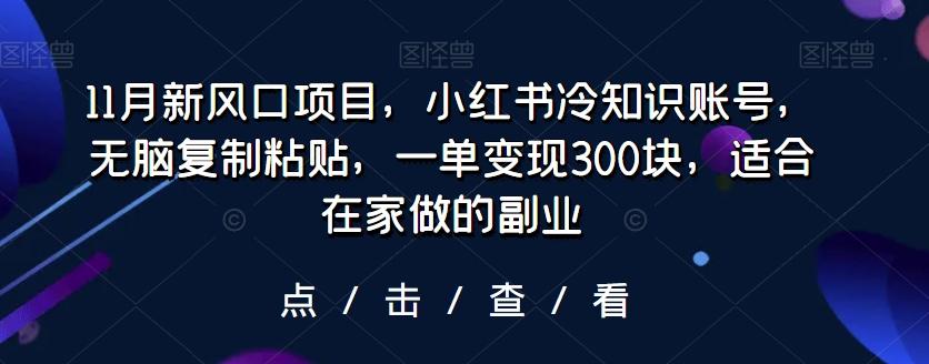 11月新风口项目，小红书冷知识账号，无脑复制粘贴，一单变现300块，适合在家做的副业-创新Ovo