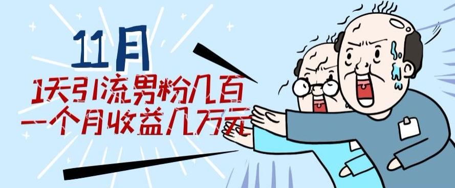 11月最新每天引流男粉300+一个月收益几万元-创新Ovo