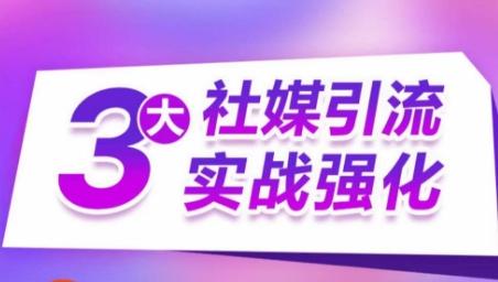 3大社媒引流实战强化，多渠道站外引流，高效精准获客，订单销售额翻倍增长-创新Ovo