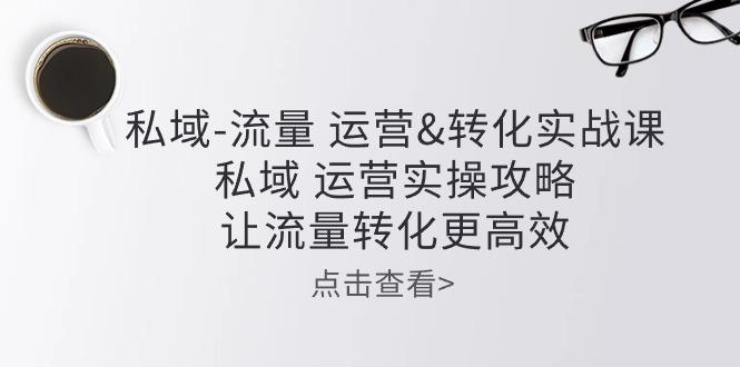 私域-流量 运营&转化实操课：私域 运营实操攻略 让流量转化更高效-创新Ovo