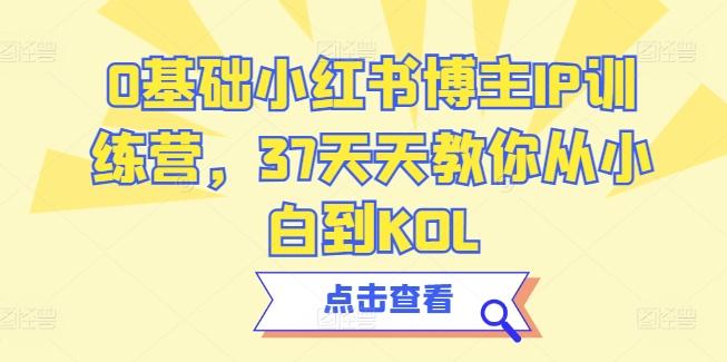 0基础小红书博主IP训练营，37天天教你从小白到KOL-创新Ovo