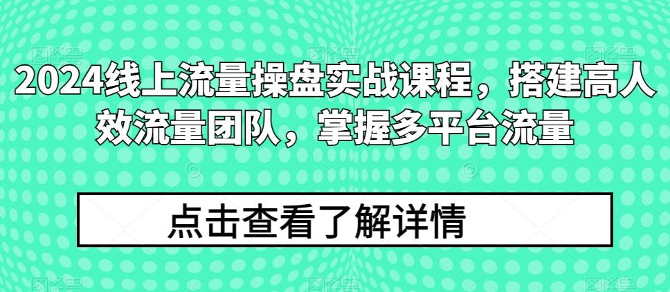 2024线上流量操盘实战课程，搭建高人效流量团队，掌握多平台流量-创新Ovo