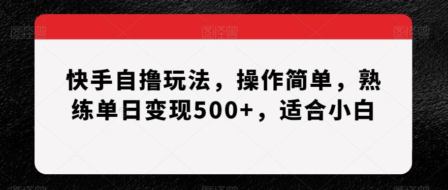快手自撸玩法，操作简单，熟练单日变现500+，适合小白【揭秘】-创新Ovo