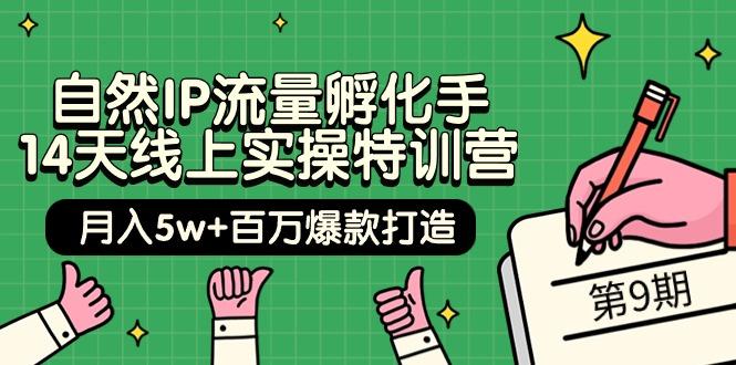 (9881期)自然IP流量孵化手 14天线上实操特训营【第9期】月入5w+百万爆款打造 (74节)-创新Ovo