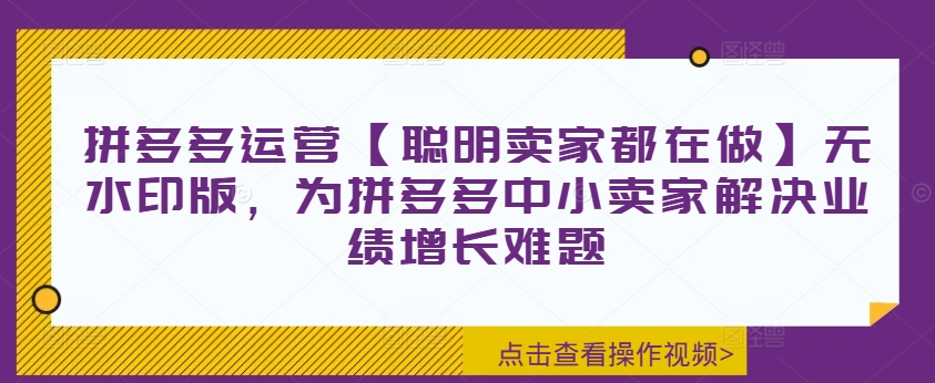 拼多多运营【聪明卖家都在做】无水印版，为拼多多中小卖家解决业绩增长难题-创新Ovo