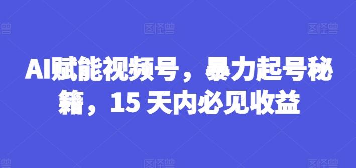 AI赋能视频号，暴力起号秘籍，15 天内必见收益【揭秘】-创新Ovo