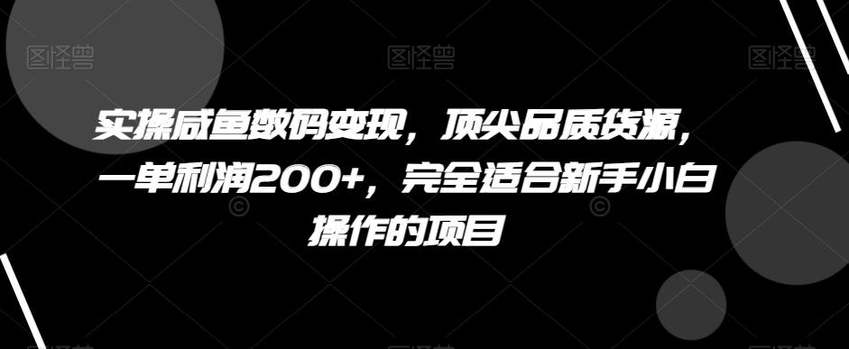 实操咸鱼数码变现，顶尖品质货源，一单利润200+，完全适合新手小白操作的项目【揭秘】-创新Ovo
