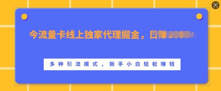 流量卡线上独家代理掘金，日入1k+ ，多种引流模式，新手小白轻松上手【揭秘】-创新Ovo