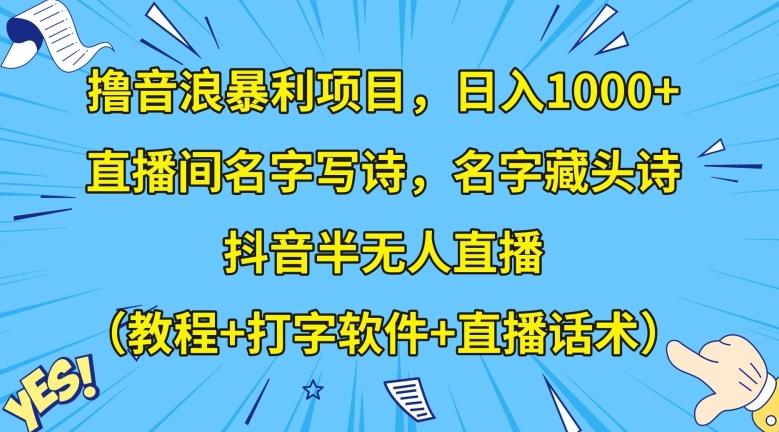 撸音浪暴利项目，日入1000+，直播间名字写诗，名字藏头诗，抖音半无人直播（教程+打字软件+直播话术）【揭秘】-创新Ovo