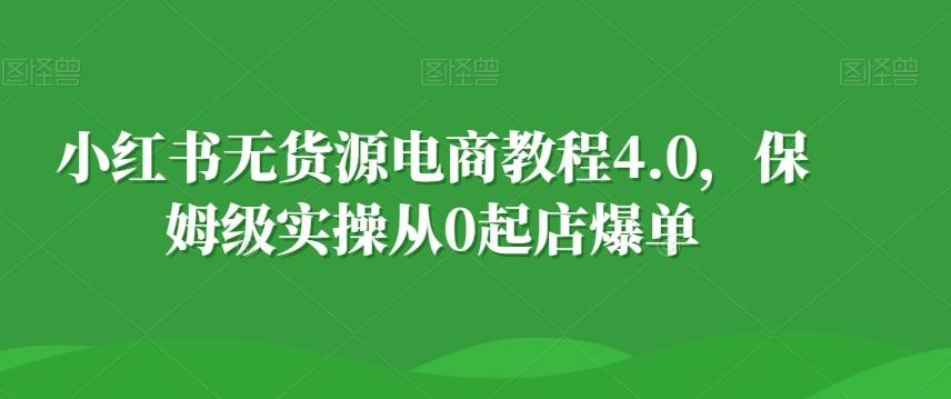 小红书无货源电商教程4.0，保姆级实操从0起店爆单【拆解】-创新Ovo