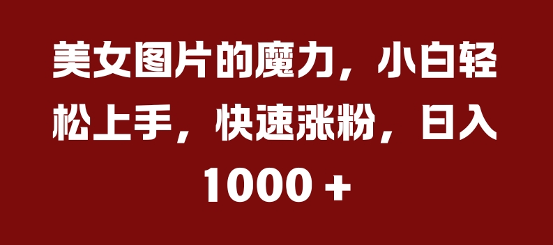 美女图片的魔力，小白轻松上手，快速涨粉，日入几张【揭秘】-创新Ovo