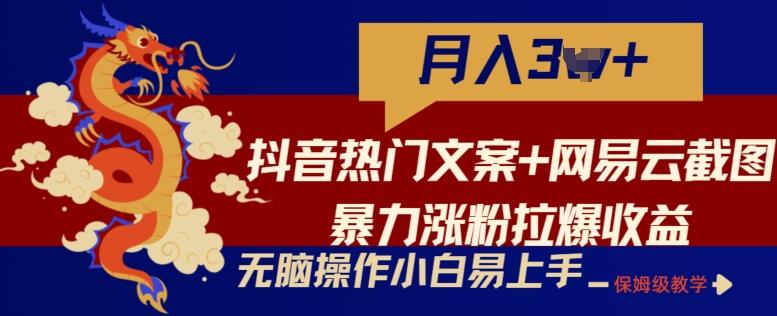 抖音热门文案+网易云截图暴力涨粉拉爆收益玩法，小白无脑操作，简单易上手【揭秘】-创新Ovo