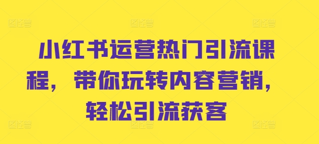 小红书运营热门引流课程，带你玩转内容营销，轻松引流获客-创新Ovo