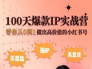 小红书100天爆款IP实战营，带你从0到1做出高价值的小红书号-创新Ovo