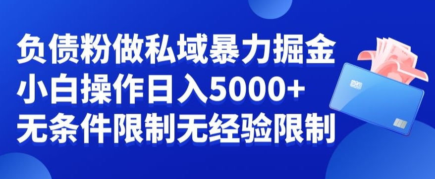 负债粉私域暴力掘金，小白操作入5000，无经验限制，无条件限制【揭秘】-创新Ovo