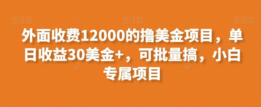 外面收费12000的撸美金项目，单日收益30美金+，可批量搞，小白专属项目-创新Ovo