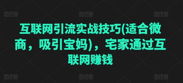互联网引流实战技巧(适合微商，吸引宝妈)，宅家通过互联网赚钱-创新Ovo
