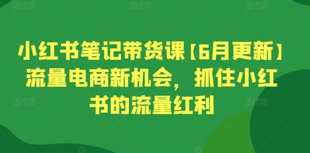 小红书笔记带货课【6月更新】流量电商新机会，抓住小红书的流量红利-创新Ovo