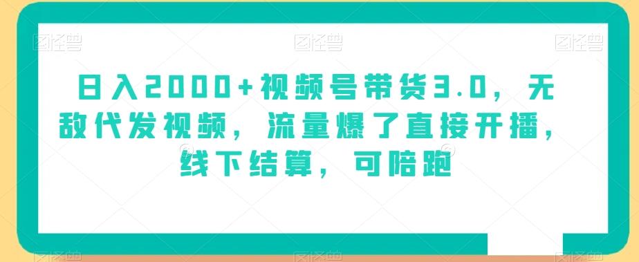 日入2000+视频号带货3.0，无敌代发视频，流量爆了直接开播，线下结算，可陪跑-创新Ovo