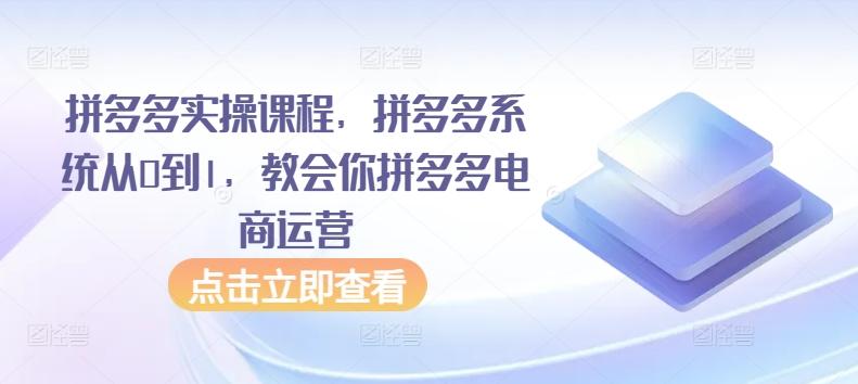 拼多多实操课程，拼多多系统从0到1，教会你拼多多电商运营-创新Ovo