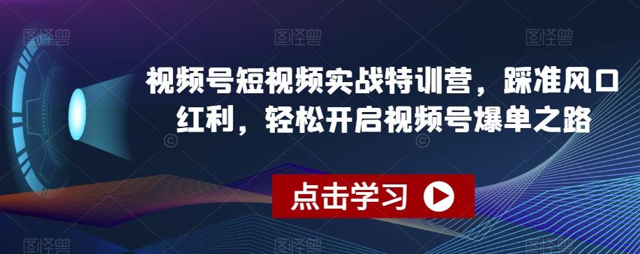 视频号短视频实战特训营，踩准风口红利，轻松开启视频号爆单之路-创新Ovo