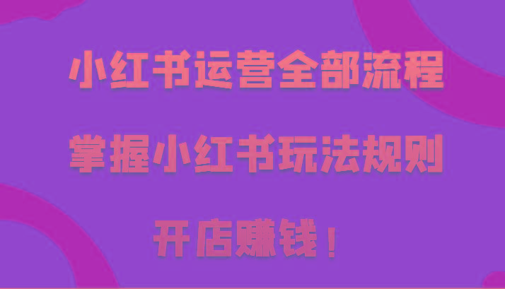 小红书运营全部流程，掌握小红书玩法规则，开店赚钱！-创新Ovo