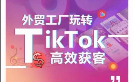外贸工厂玩转TikTok高效获客，多种引流方式与账号定位技巧，拆解爆款短视频打造成功案例-创新Ovo