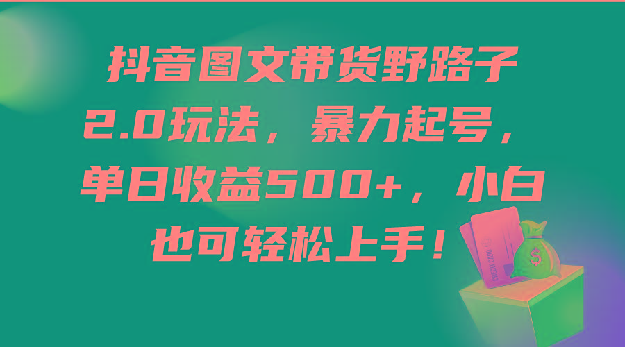 (9790期)抖音图文带货野路子2.0玩法，暴力起号，单日收益500+，小白也可轻松上手！-创新Ovo
