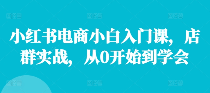 小红书电商小白入门课，店群实战，从0开始到学会-创新Ovo