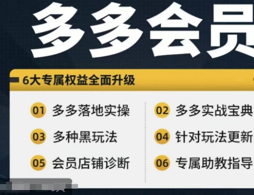 拼多多会员，拼多多实战宝典+实战落地实操，从新手到高阶内容全面覆盖-创新Ovo