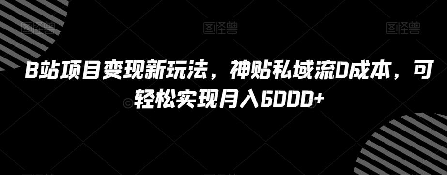 B站项目变现新玩法，神贴私域流0成本，可轻松实现月入6000+【揭秘】-创新Ovo