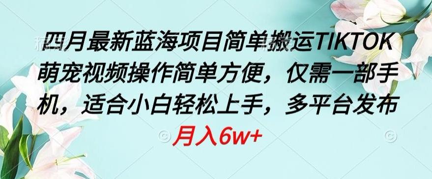 四月最新蓝海项目，简单搬运TIKTOK萌宠视频，操作简单方便，仅需一部手机【揭秘】-创新Ovo