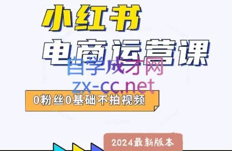 达哥·小红书电商运营(2024版)-创新Ovo