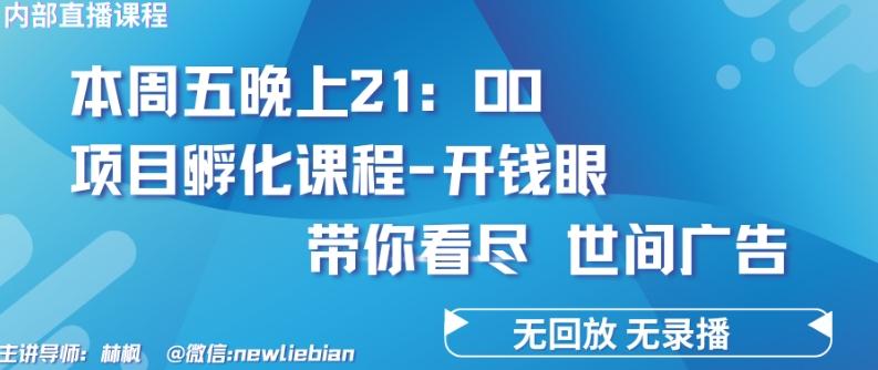 4.26日内部回放课程《项目孵化-开钱眼》赚钱的底层逻辑【揭秘】-创新Ovo
