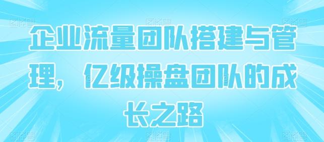 企业流量团队搭建与管理，亿级操盘团队的成长之路-创新Ovo