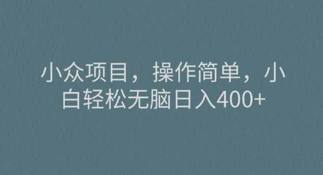 小众项目，操作简单，小白轻松无脑日入400+-创新Ovo