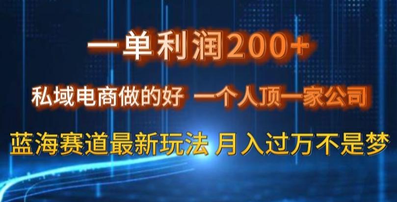 一单利润200私域电商做的好，一个人顶一家公司蓝海赛道最新玩法【揭秘】-创新Ovo