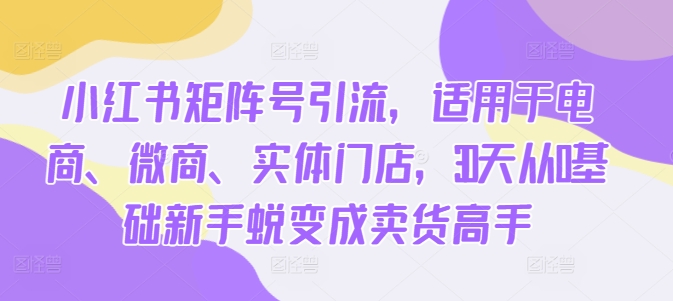 小红书矩阵号引流，适用于电商、微商、实体门店，30天从0基础新手蜕变成卖货高手-创新Ovo