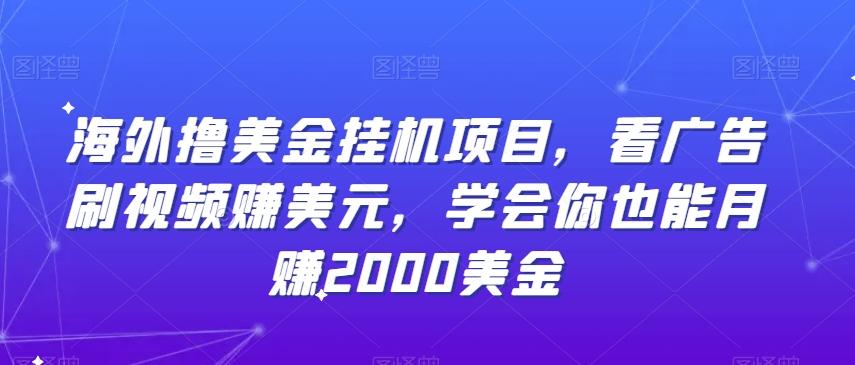 海外撸美金挂机项目，看广告刷视频赚美元，学会你也能月赚2000美金-创新Ovo